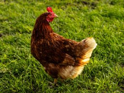 Fotowalk Pfarrwerfen - Bahnhof Werfen